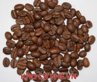 Cà phê Arabica S16